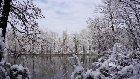 beautiful snowy landscape with leafless trees surrounding cold water of lake