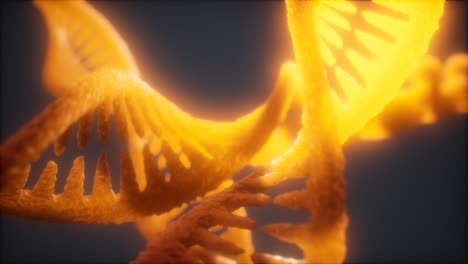 animación de primer plano de la estructura helicoidal de doble bucle de la hebra de adn
