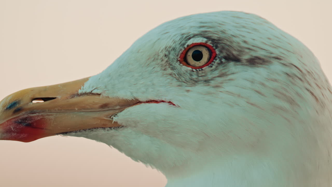 Abstract reflection of colorful boat hulls rippling across the surface of the water, creating a painterly effect