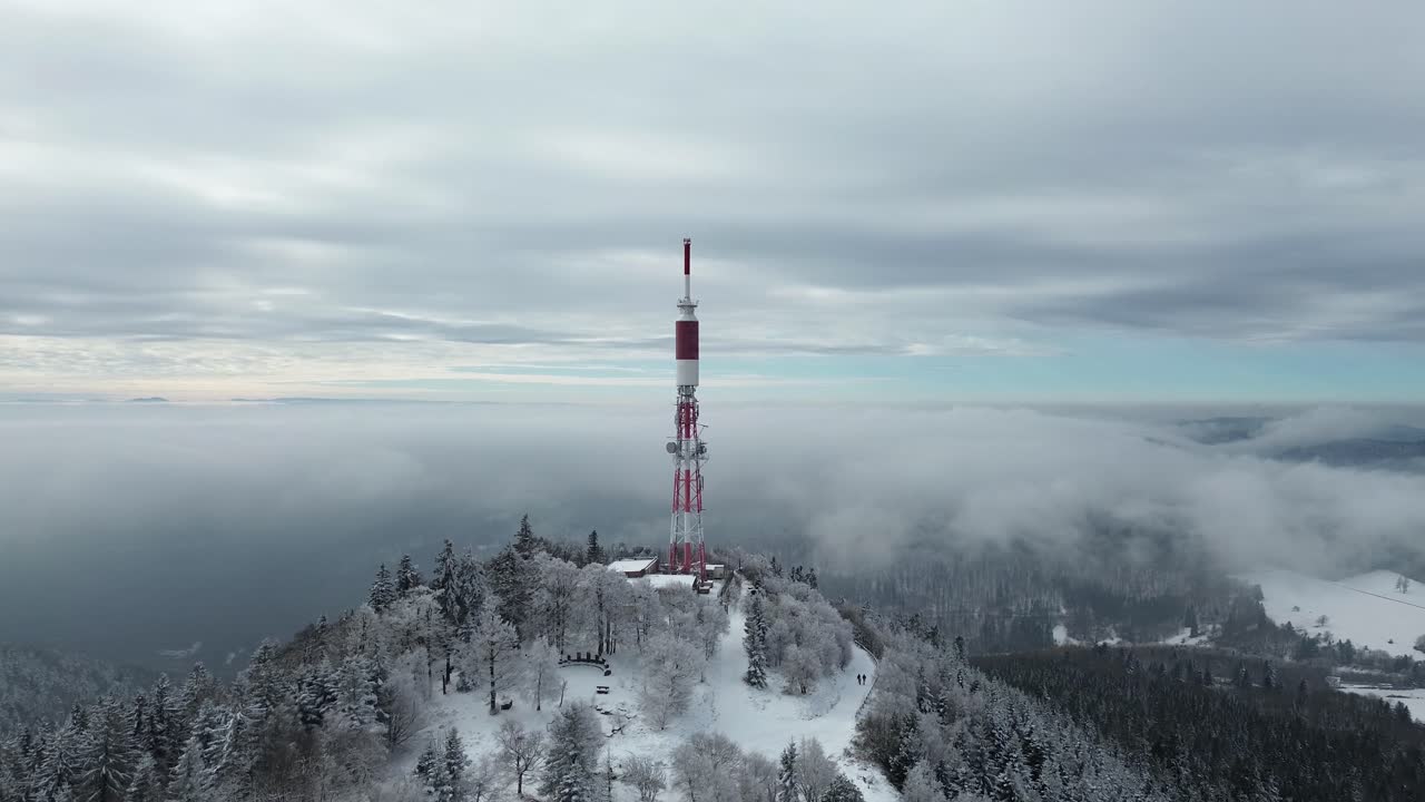 Aerial drone view of the Antea winter forest, covered in fresh snow with peaceful, towering trees."