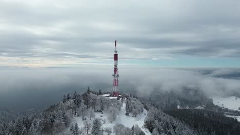 aerial drone view of the antea winter forest, covered in fresh snow with peaceful, towering trees."