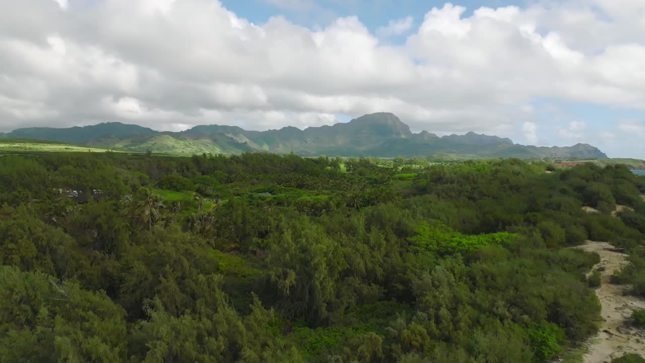 carro hacia atrás desde árboles verdes, montañas, cielo azul hasta un gran acantilado marino, playa y costa hawaiana