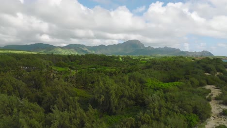 carro hacia atrás desde árboles verdes, montañas, cielo azul hasta un gran acantilado marino, playa y costa hawaiana