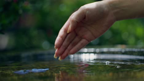 hand pouring water into a bird bath