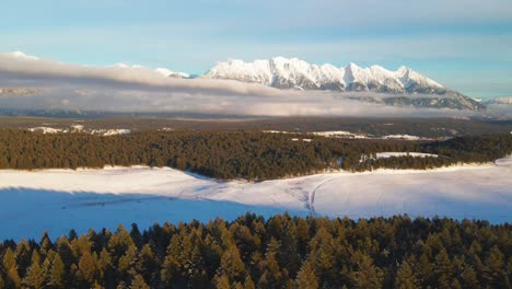 the canadian rocky mountains at sunset: a drone tour of a snowy forest