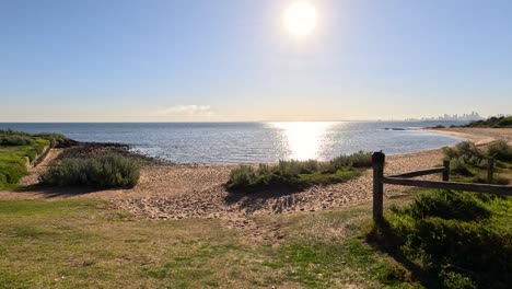 sunlit beach with greenery and ocean view