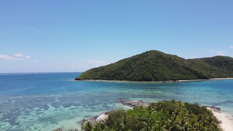 Aerial-ascending-shot-of-beautiful-palm-tree-landscape-in-tropical-island