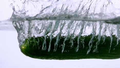 courgette falling in water on white background