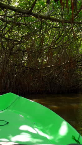 green boat in a mangrove swamp