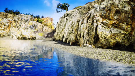 rocky shoreline with clear water and vibrant greenery during bright daylight