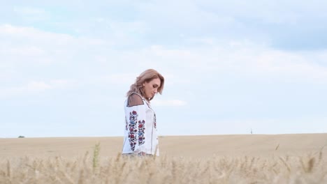 a concentrated woman in ukrainian clothes walks through a wheat field a concentrated woman in ukrainian clothes walks through a wheat field blue sky background free people discretion a lonely woman