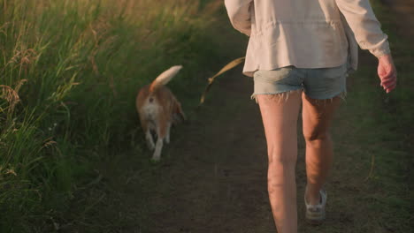 back view of woman walking with dog on leash along rural path, dog sniffing ground near farmland, bright sunlight, legs in motion