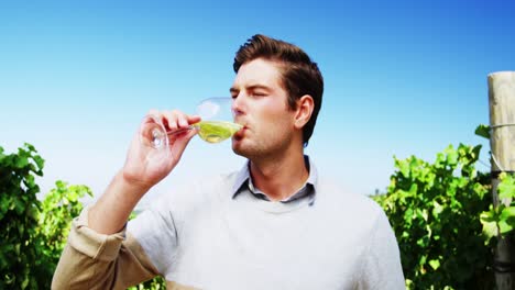 Man-drinking-wine-in-vineyard