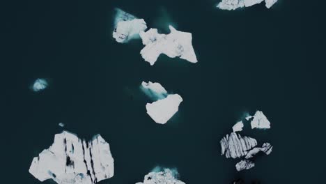 Ascending-drone-shot-of-beatiful-black-and-white-icebergs-floating-in-a-lagoon-in-Iceland-and-a-seal-in-the-water