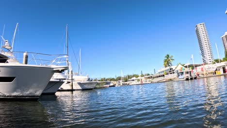 yachts docked in a sunny harbor