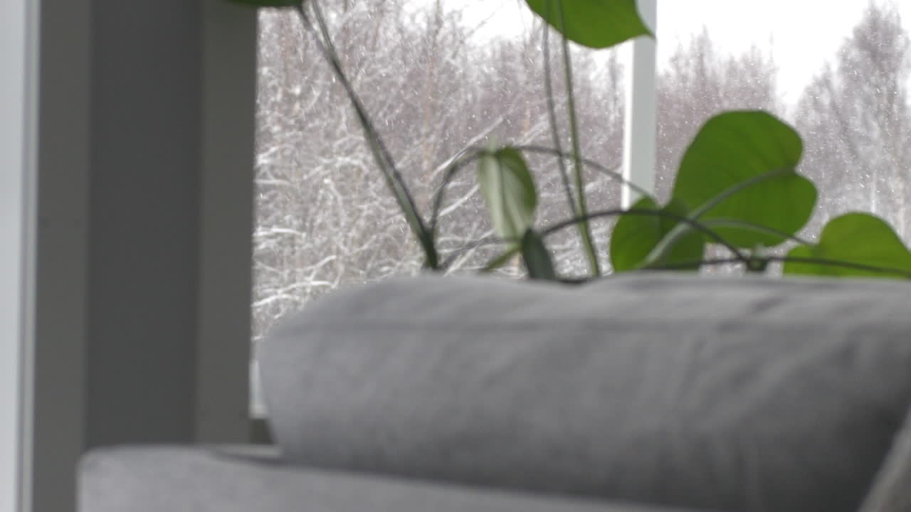 소파에서 야외 겨울 눈까지 랙 포커스