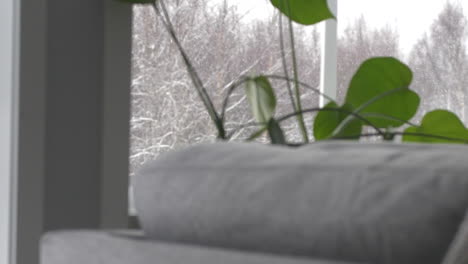 rack focus from sofa to outdoor winter snow