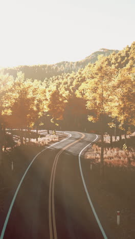 winding road through forest in autumn