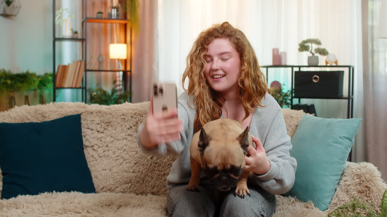 Young woman waving at video call on smartphone with pug dog on home sofa joyful friendly greeting