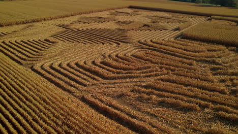 aerial view of an intricate crop maze or field art