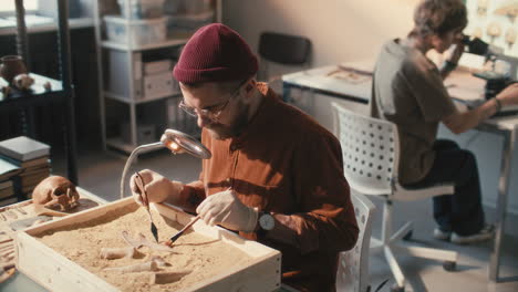 archaeologists excavating bones and using microscope in laboratory