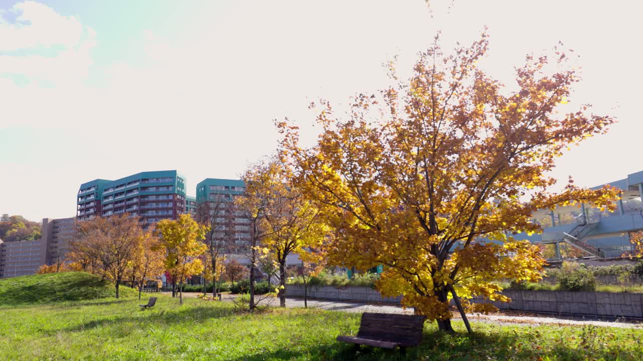 오타루 최고의 뷰