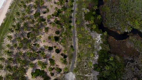 Drone-zenithal-travelling-from-trees-and-river-to-beach