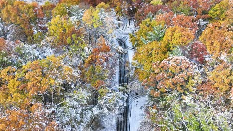 Direct-aerial-angle-to-level-over-the-trees