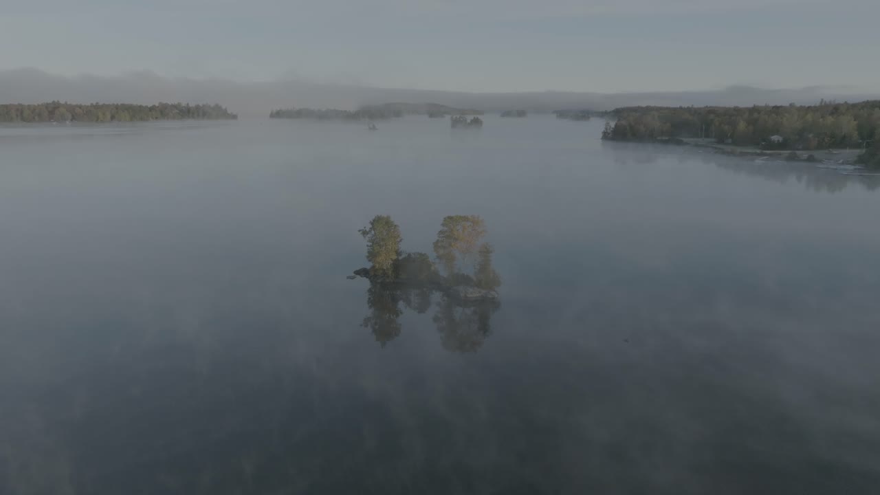 안개로 둘러싸인 드문드문 나무가 있는 무스헤드 호수 섬