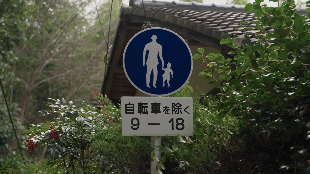 日本の京都、緑の葉の中に立つ日本語の文字が入った青い歩行者専用道路標識