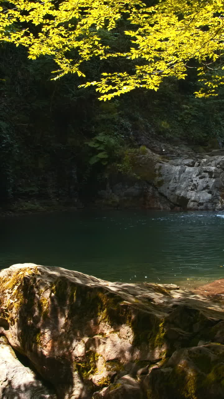 Cascata d'autunno in una foresta