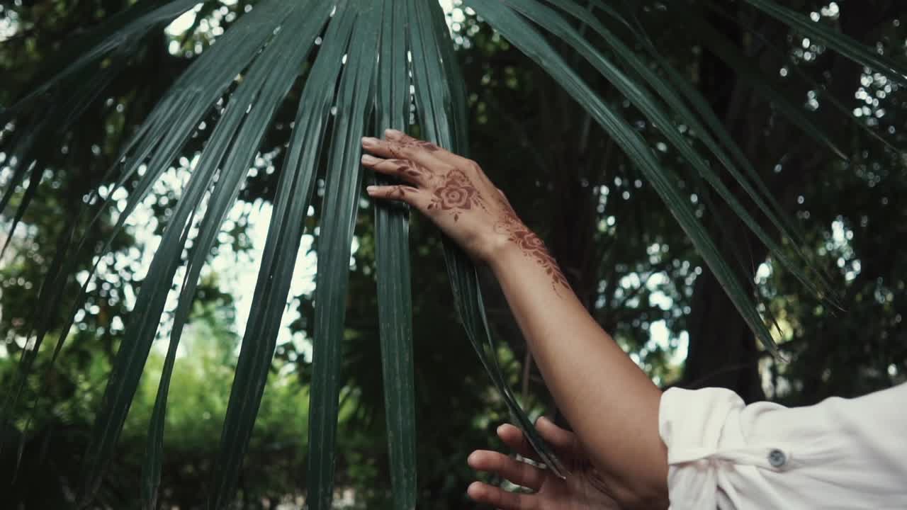 manos decoradas con henna tocando una hoja de palma