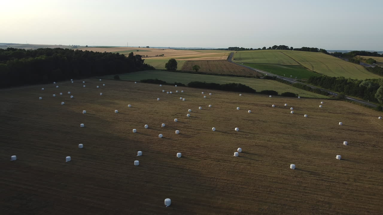 에 있는 어리 들 의 공중 사진