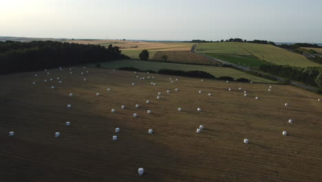 aerial view of hay bales in a field