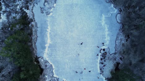 people playing hockey on a frozen lagoon