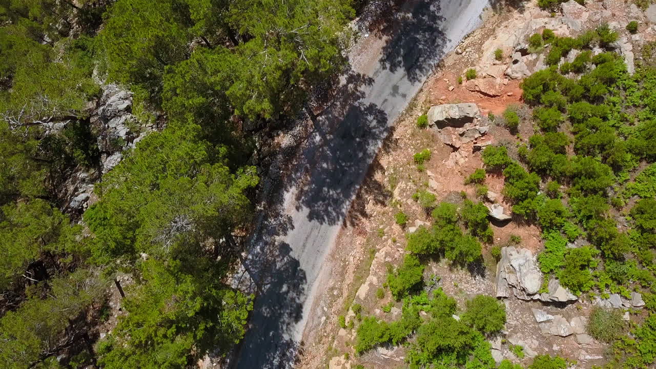 vista aérea de un camino de montaña a través de un bosque de pinos