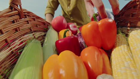 fresh vegetables in a basket