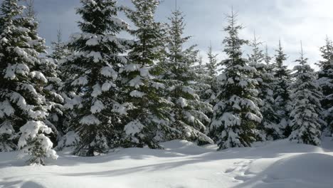 Österreich