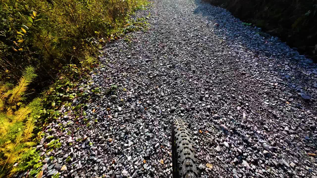 Bike POV View of Wheel as it Moves Along Forest Track of Dirt to Stones with Bright Sunlight