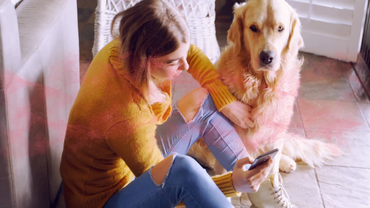woman petting golden retriever while scrolling smartphone, featuring animated marketing charts