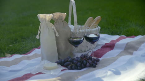 the girl is preparing for a picnic