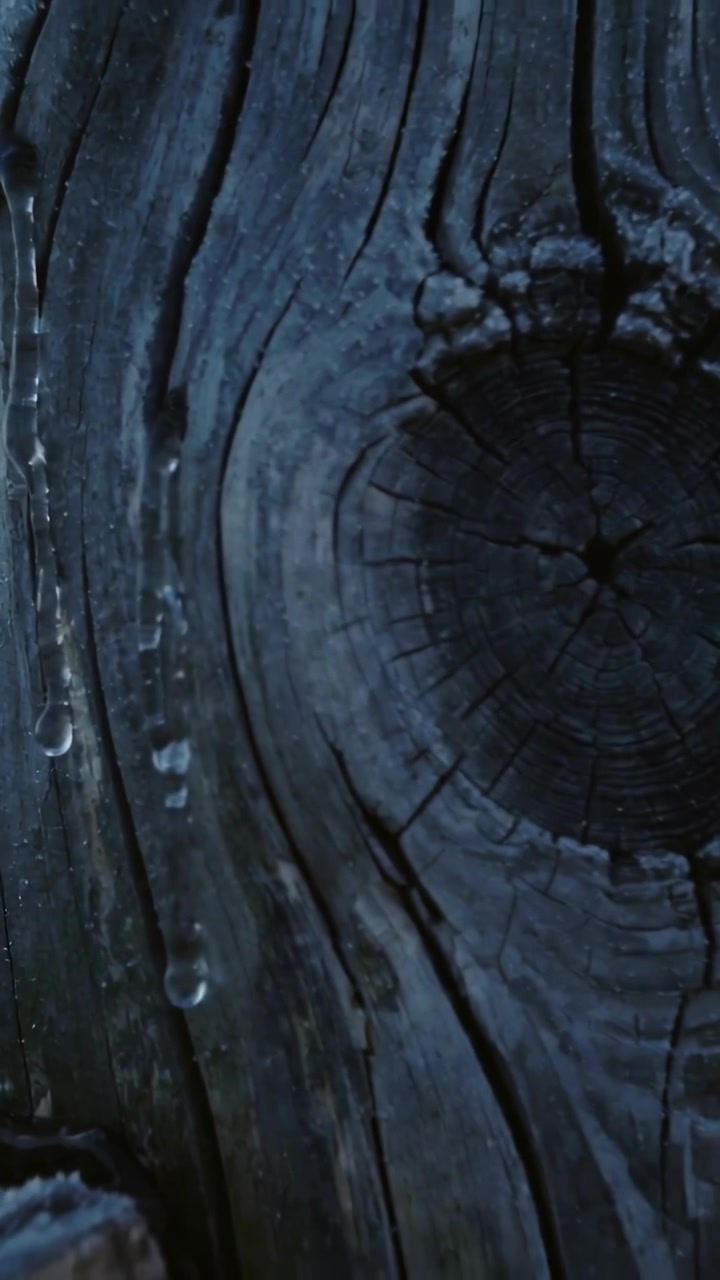 Video verticale: Mostra una tavola di legno su una recinzione, la telecamera si sposta a destra, goccioline che scivolano, polvere che si solleva dal nodo