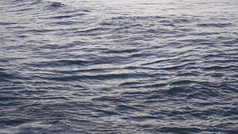 gentle iridescent sea waves ocean background with golden highlights, sundown