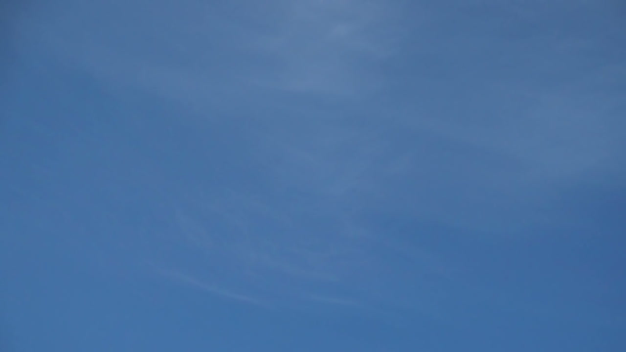 Gabbiani nel cielo. Movimento rallentato. Riprese di gabbiani.