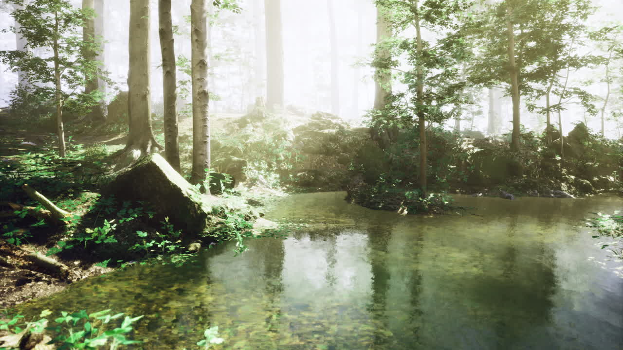 Serene forest landscape with calm water and sunlight filtering through trees