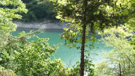 lake deep in forest