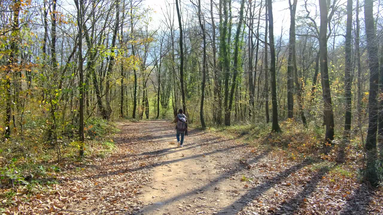 Walking Young in Autumn Forest