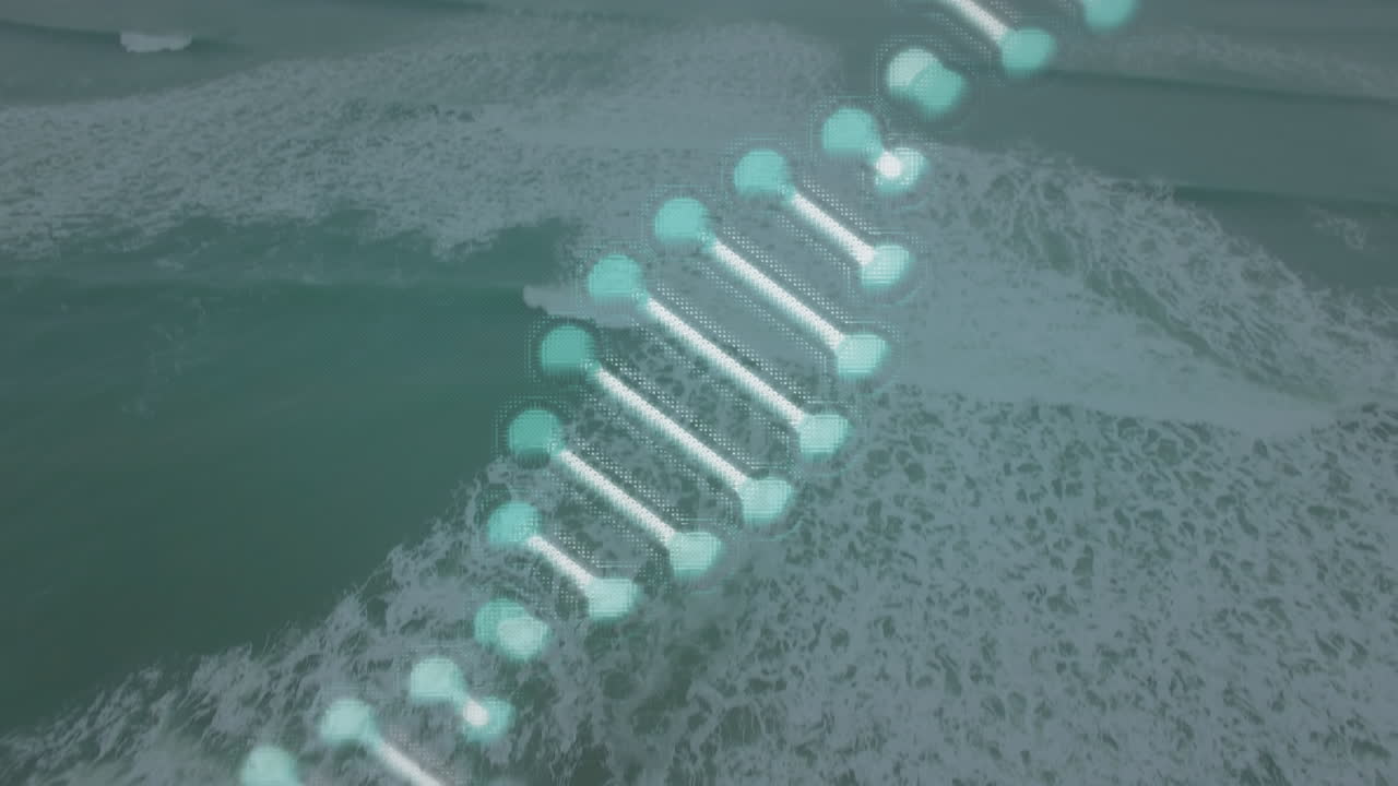 해양 풍경 위의 dna 가닥의 애니메이션
