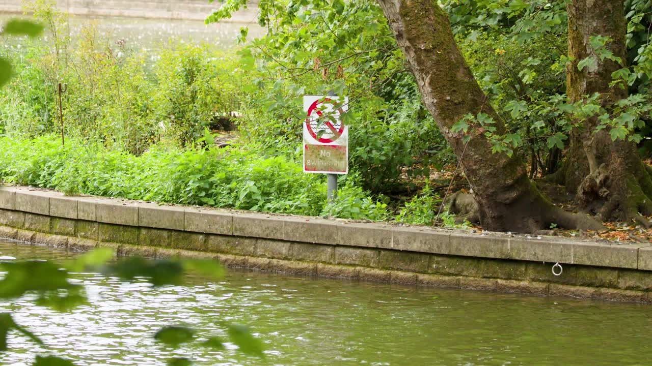 Camera pans past no swimming sign beside tranquil lakeside, lush trees, and natural daylight