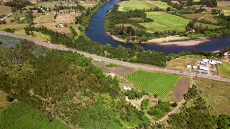 Tiro-Giratorio-Hacia-Atrás-De-Un-Pequeño-Viñedo-Junto-Al-Río-Cholchol-En-El-Valle-Malleco